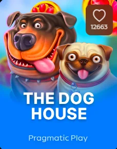 the dog house